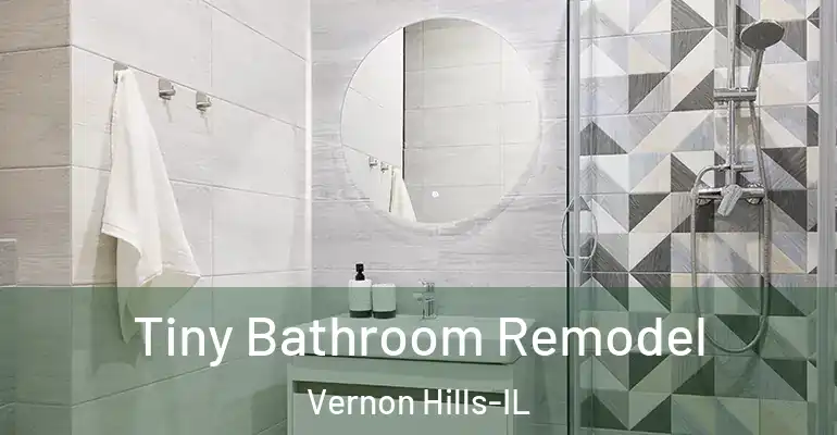 inner Bathroom imggen Tiny Bathroom Remodel Vernon Hills-IL