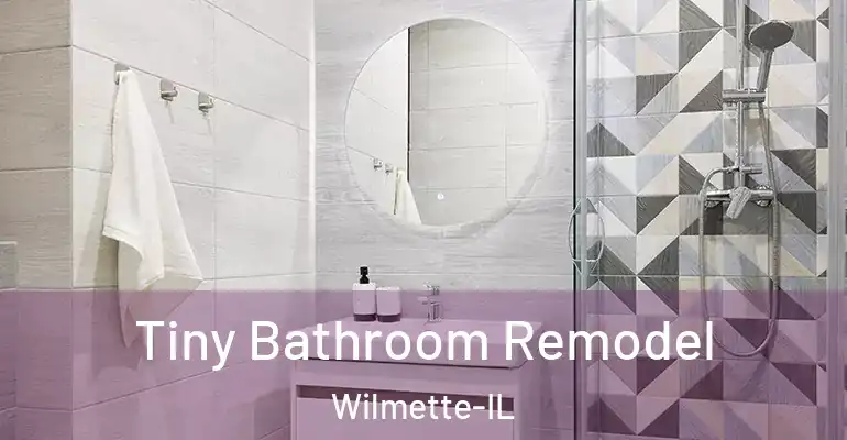 inner Bathroom imggen Tiny Bathroom Remodel Wilmette-IL