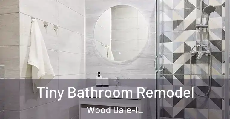 inner Bathroom imggen Tiny Bathroom Remodel Wood Dale-IL