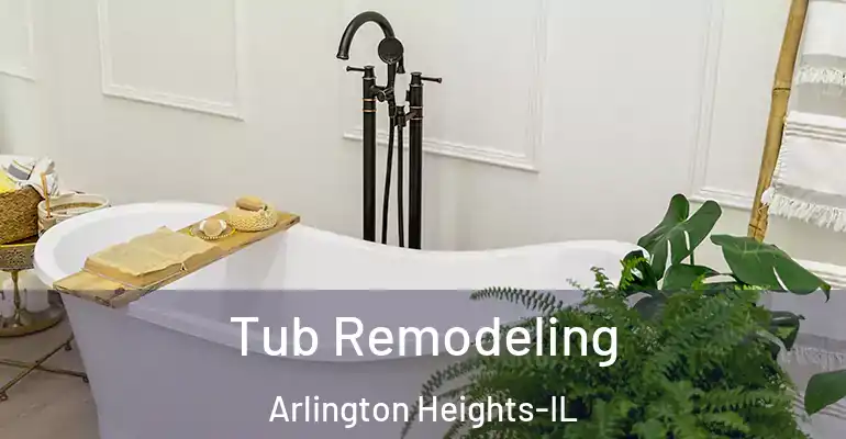 inner Bathroom imggen Tub Remodeling Arlington Heights-IL