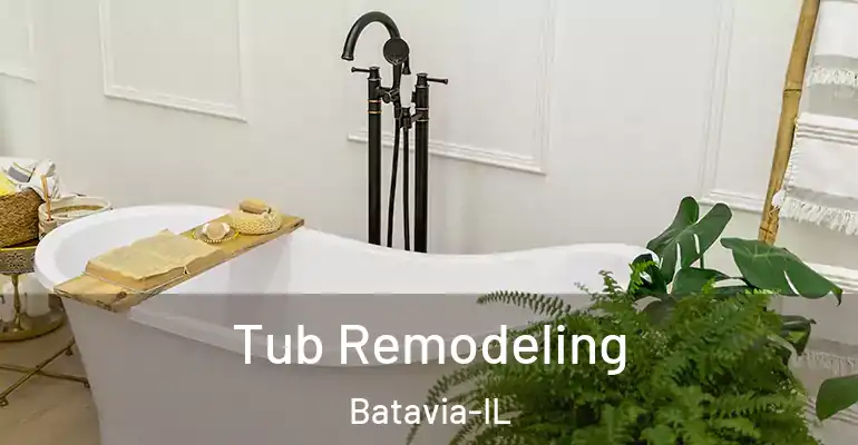 inner Bathroom imggen Tub Remodeling Batavia-IL