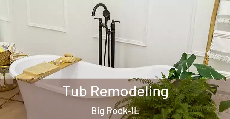 inner Bathroom imggen Tub Remodeling Big Rock-IL