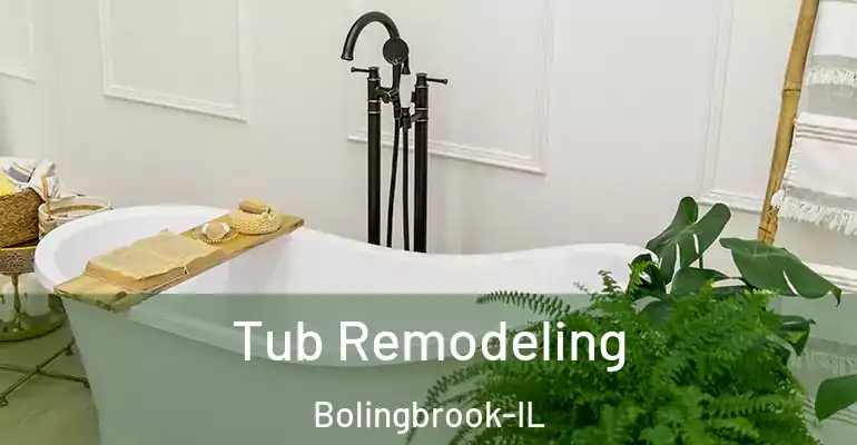 inner Bathroom imggen Tub Remodeling Bolingbrook-IL
