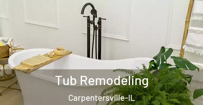 inner Bathroom imggen Tub Remodeling Carpentersville-IL