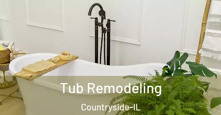 inner Bathroom imggen Tub Remodeling Countryside-IL