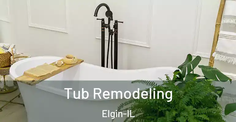 inner Bathroom imggen Tub Remodeling Elgin-IL