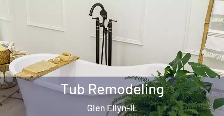 inner Bathroom imggen Tub Remodeling Glen Ellyn-IL