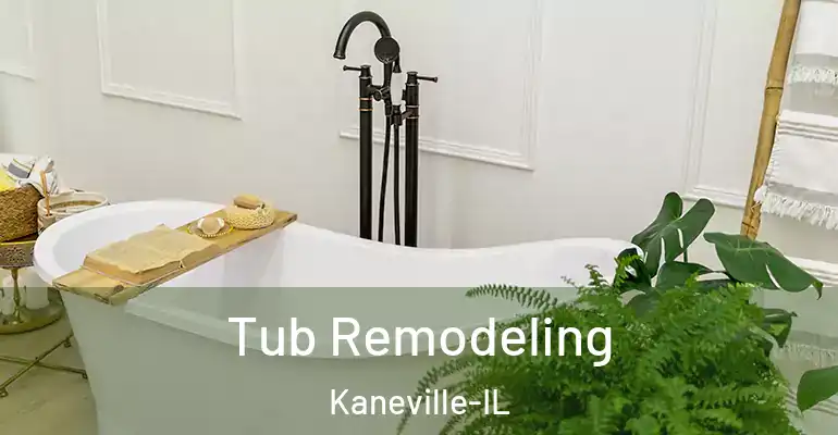 inner Bathroom imggen Tub Remodeling Kaneville-IL