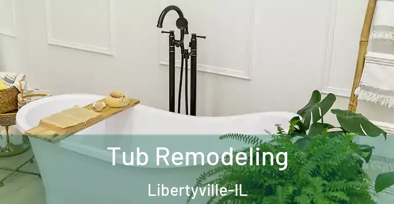 inner Bathroom imggen Tub Remodeling Libertyville-IL
