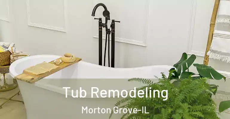 inner Bathroom imggen Tub Remodeling Morton Grove-IL