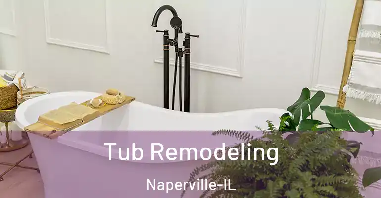 inner Bathroom imggen Tub Remodeling Naperville-IL