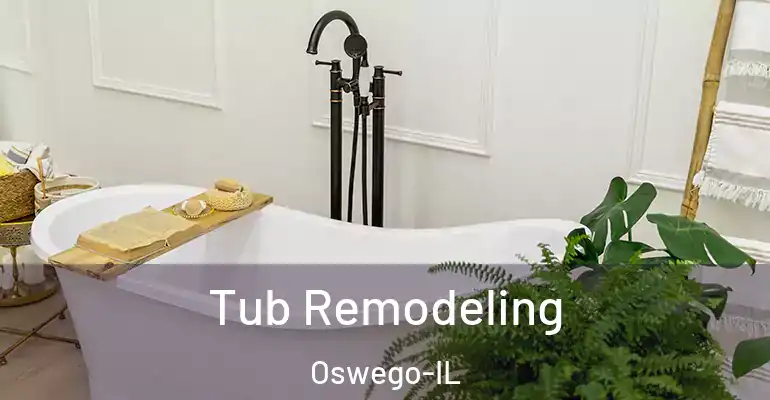 inner Bathroom imggen Tub Remodeling Oswego-IL