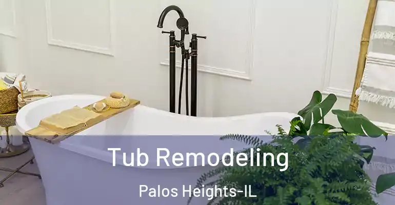 inner Bathroom imggen Tub Remodeling Palos Heights-IL