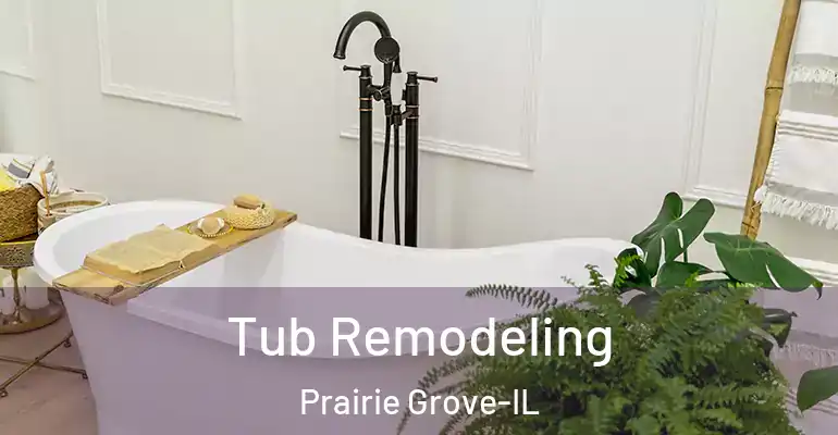 inner Bathroom imggen Tub Remodeling Prairie Grove-IL