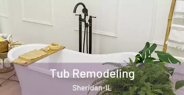 inner Bathroom imggen Tub Remodeling Sheridan-IL