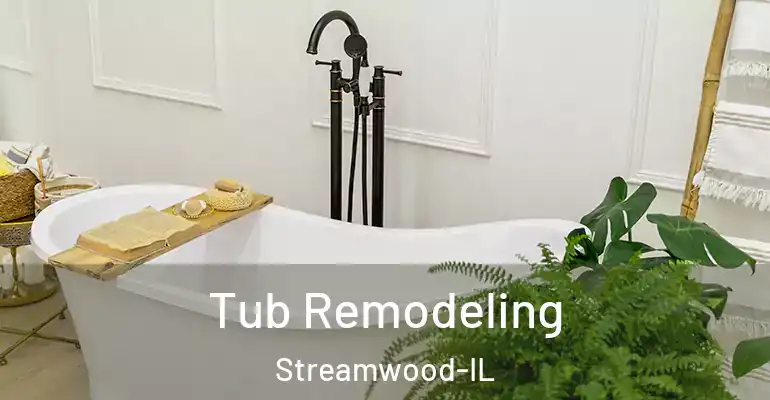 inner Bathroom imggen Tub Remodeling Streamwood-IL