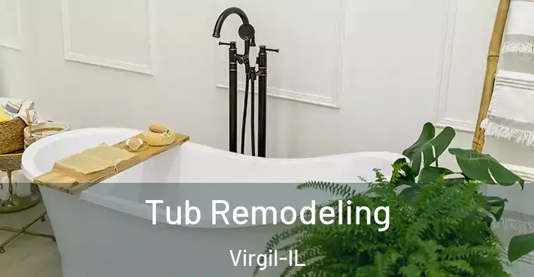 inner Bathroom imggen Tub Remodeling Virgil-IL