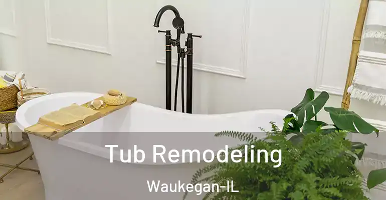 inner Bathroom imggen Tub Remodeling Waukegan-IL