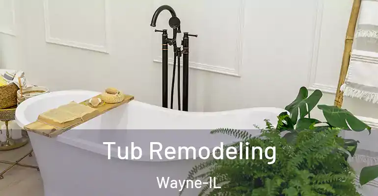 inner Bathroom imggen Tub Remodeling Wayne-IL