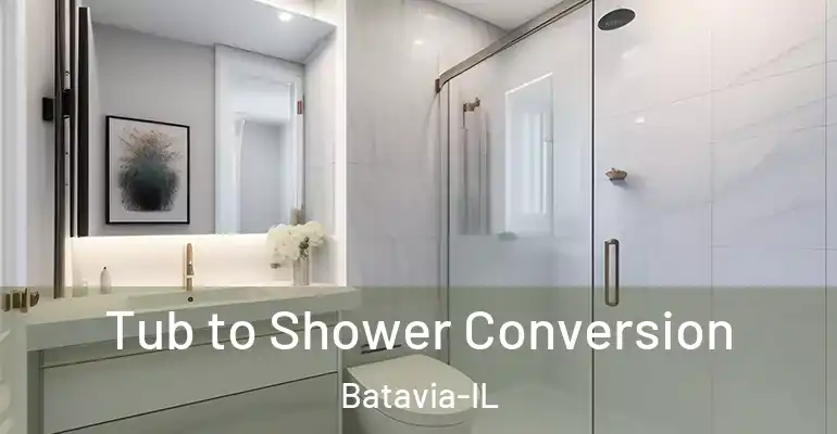 inner Bathroom imggen Tub to Shower Conversion Batavia-IL