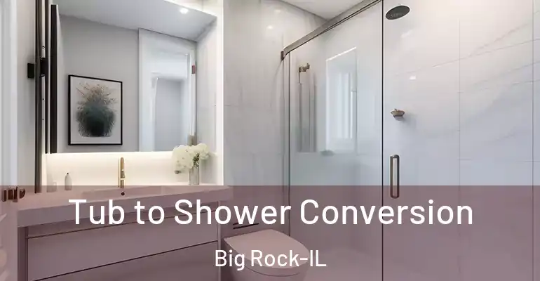 inner Bathroom imggen Tub to Shower Conversion Big Rock-IL