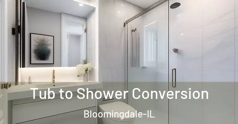 inner Bathroom imggen Tub to Shower Conversion Bloomingdale-IL