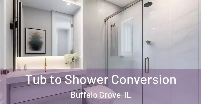 inner Bathroom imggen Tub to Shower Conversion Buffalo Grove-IL