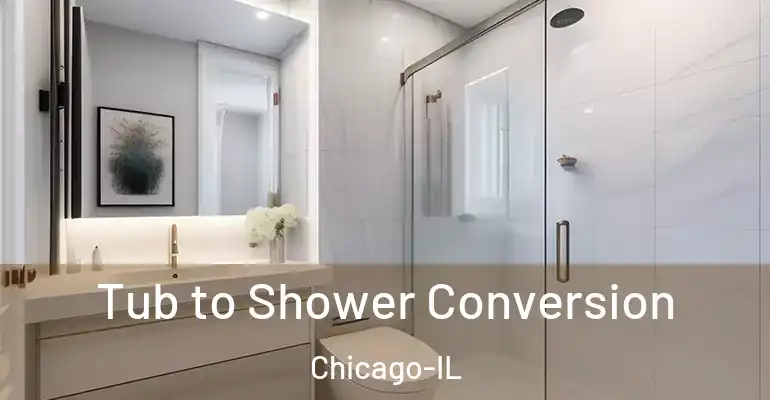 inner Bathroom imggen Tub to Shower Conversion Chicago-IL