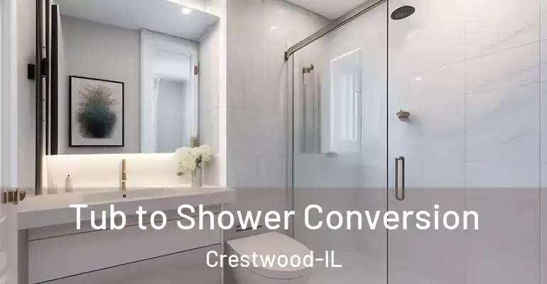 inner Bathroom imggen Tub to Shower Conversion Crestwood-IL