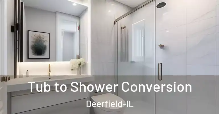 inner Bathroom imggen Tub to Shower Conversion Deerfield-IL