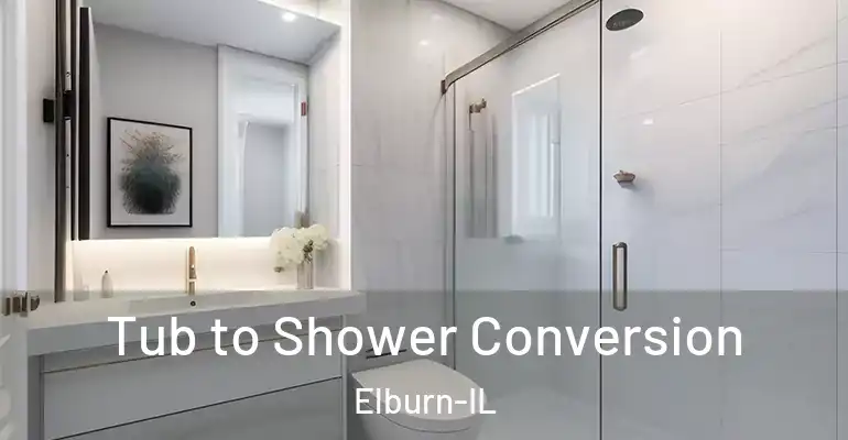 inner Bathroom imggen Tub to Shower Conversion Elburn-IL