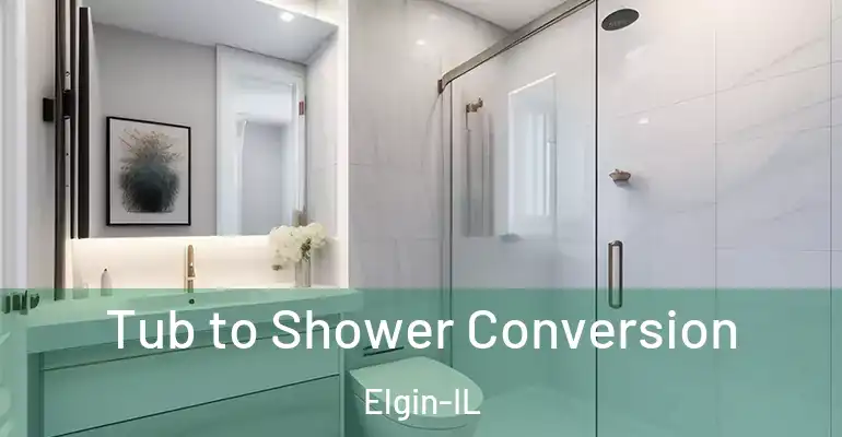 inner Bathroom imggen Tub to Shower Conversion Elgin-IL
