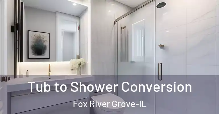 inner Bathroom imggen Tub to Shower Conversion Fox River Grove-IL