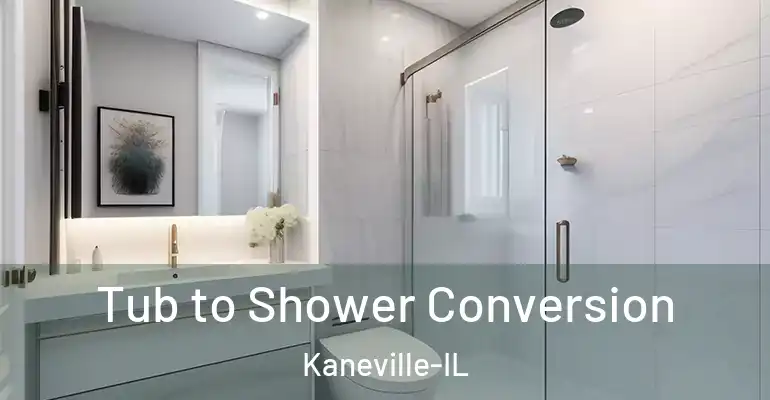 inner Bathroom imggen Tub to Shower Conversion Kaneville-IL