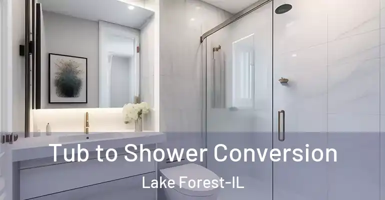 inner Bathroom imggen Tub to Shower Conversion Lake Forest-IL