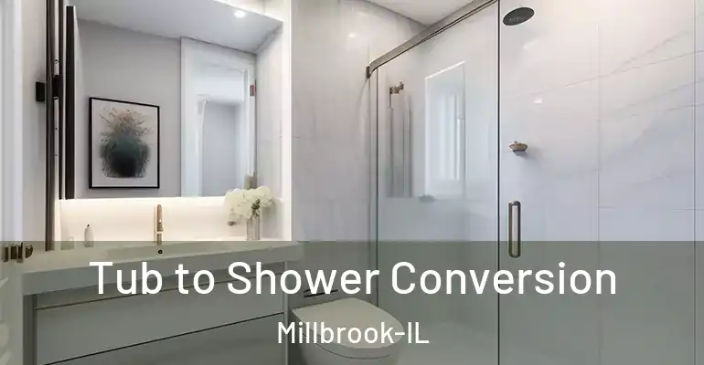 inner Bathroom imggen Tub to Shower Conversion Millbrook-IL