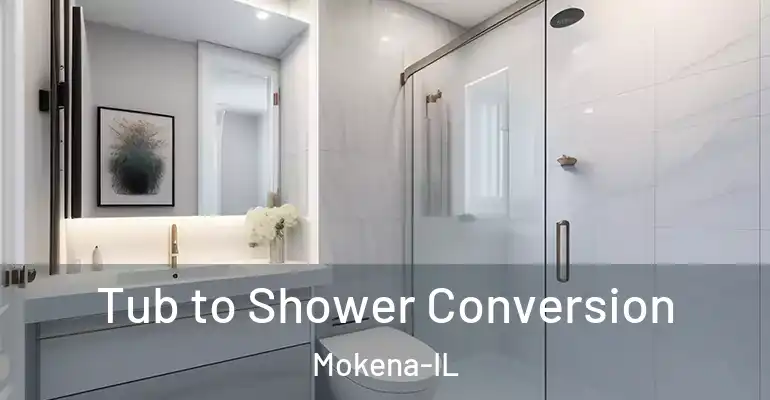 inner Bathroom imggen Tub to Shower Conversion Mokena-IL