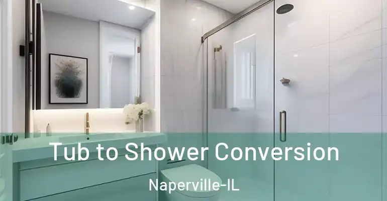 inner Bathroom imggen Tub to Shower Conversion Naperville-IL