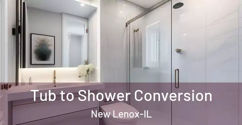 inner Bathroom imggen Tub to Shower Conversion New Lenox-IL