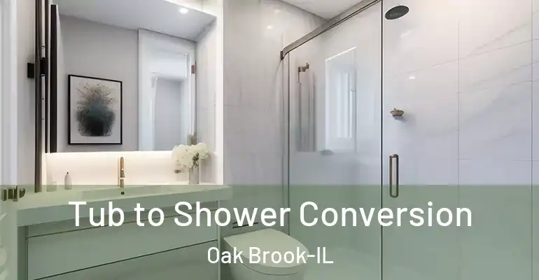 inner Bathroom imggen Tub to Shower Conversion Oak Brook-IL