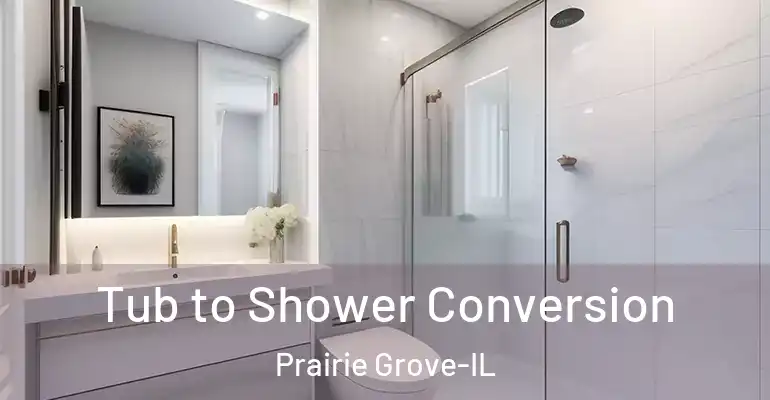 inner Bathroom imggen Tub to Shower Conversion Prairie Grove-IL
