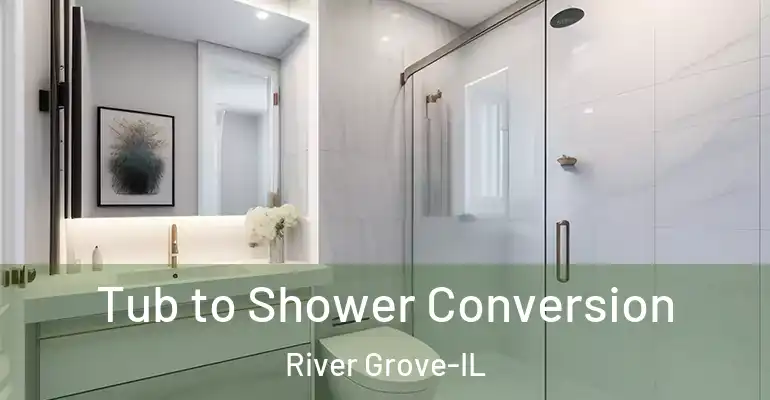 inner Bathroom imggen Tub to Shower Conversion River Grove-IL