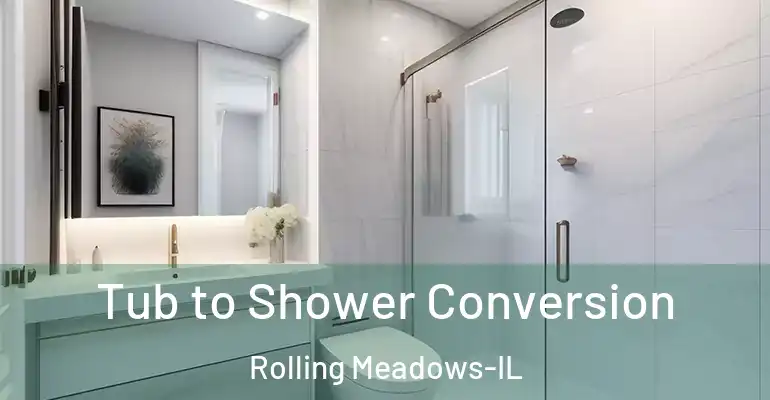 inner Bathroom imggen Tub to Shower Conversion Rolling Meadows-IL