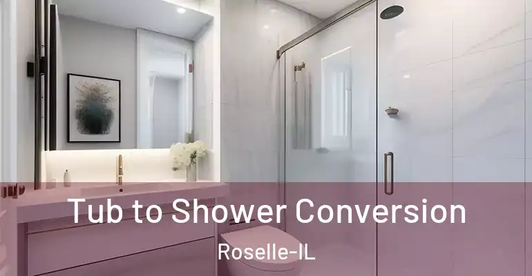 inner Bathroom imggen Tub to Shower Conversion Roselle-IL