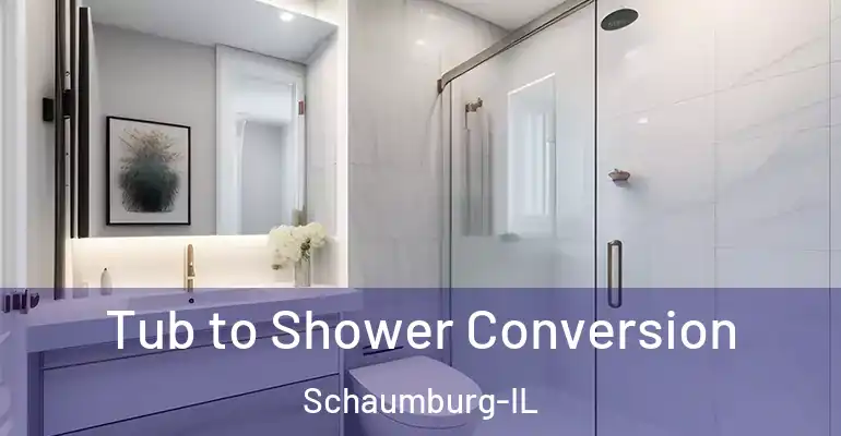 inner Bathroom imggen Tub to Shower Conversion Schaumburg-IL