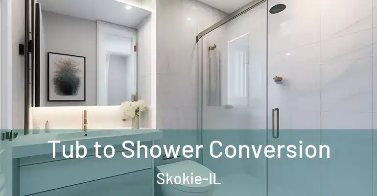 inner Bathroom imggen Tub to Shower Conversion Skokie-IL