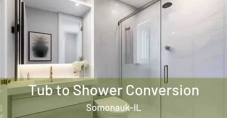 inner Bathroom imggen Tub to Shower Conversion Somonauk-IL