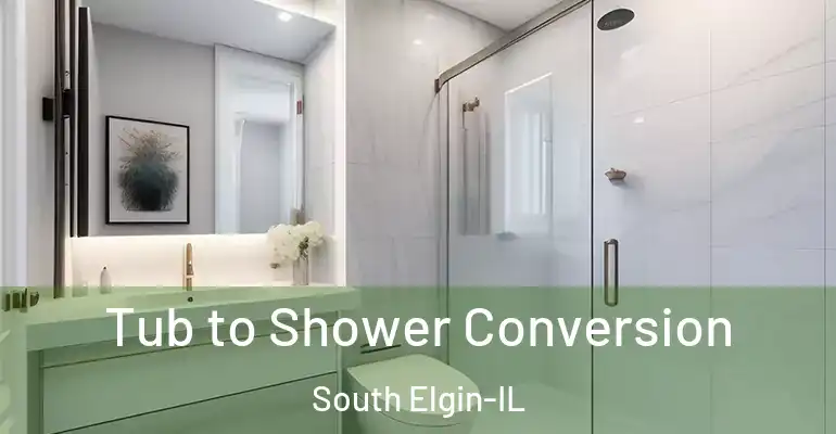 inner Bathroom imggen Tub to Shower Conversion South Elgin-IL