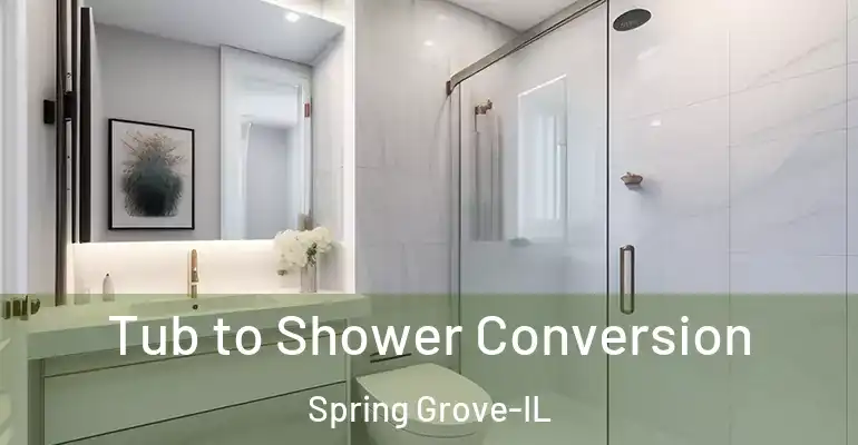 inner Bathroom imggen Tub to Shower Conversion Spring Grove-IL