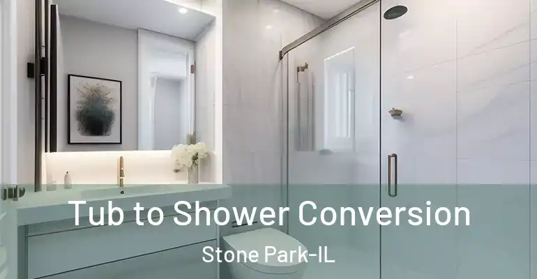 inner Bathroom imggen Tub to Shower Conversion Stone Park-IL